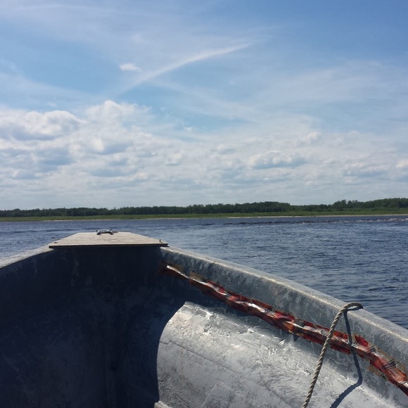 Meet your Posher, Gabby - Picture 1 of 1